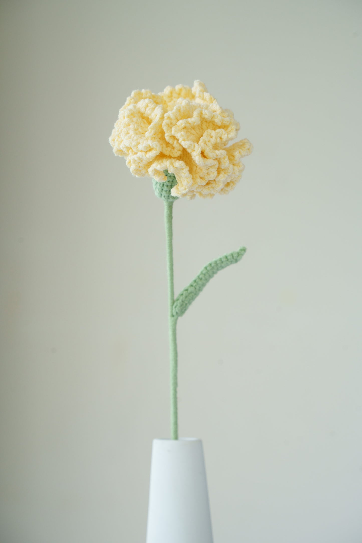 yellow carnation