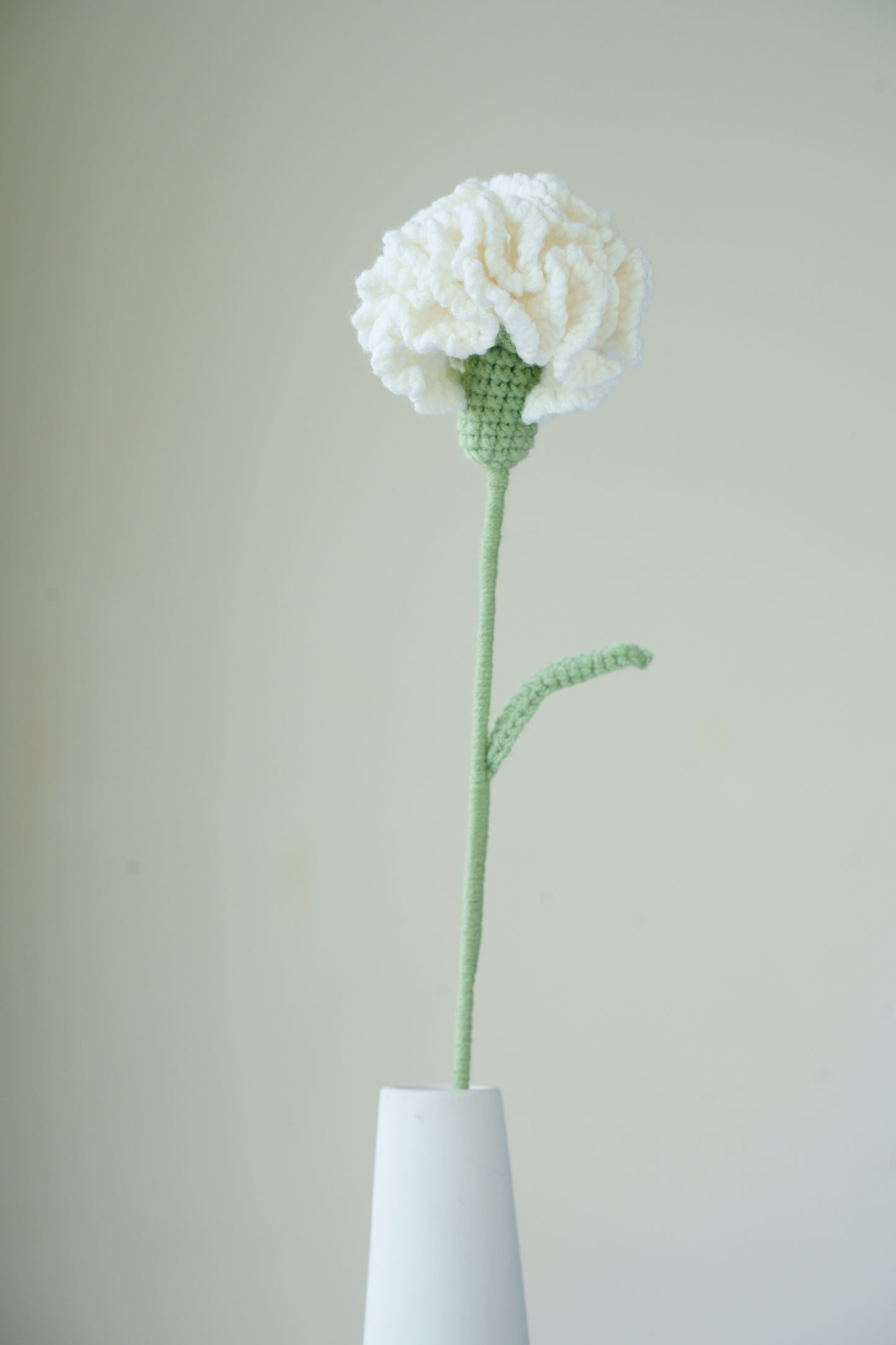 white carnation