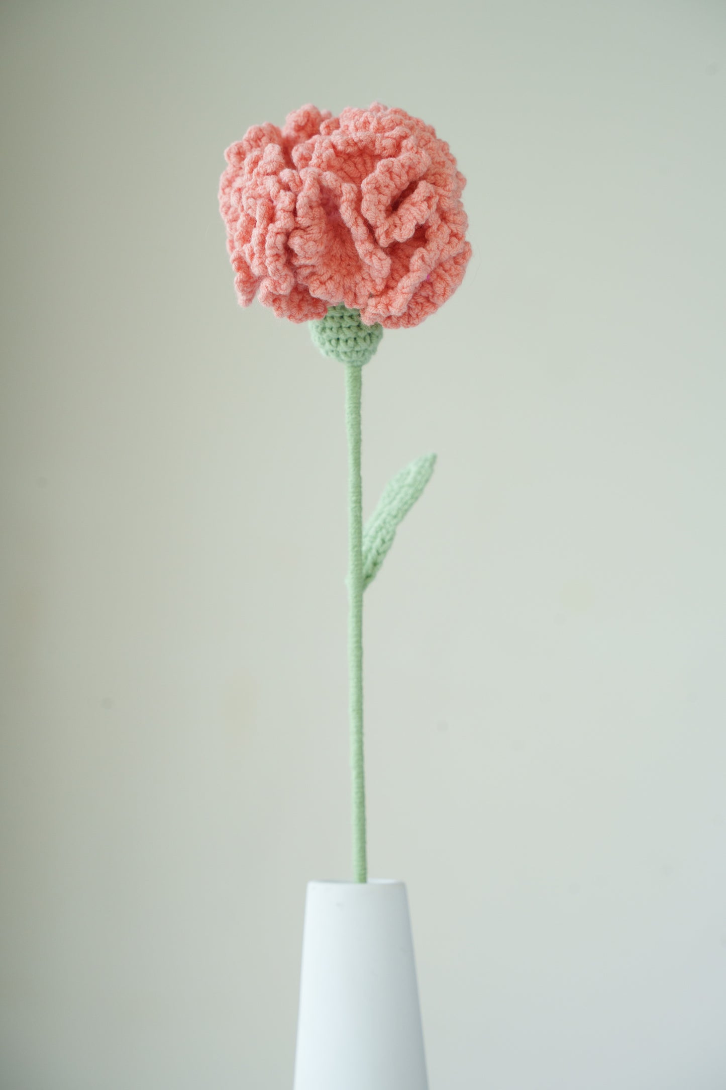 orange carnation
