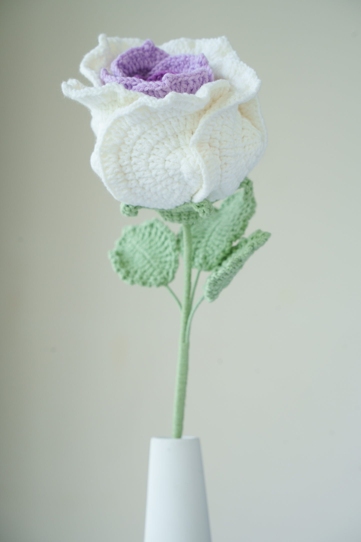large purple gradient thai rose