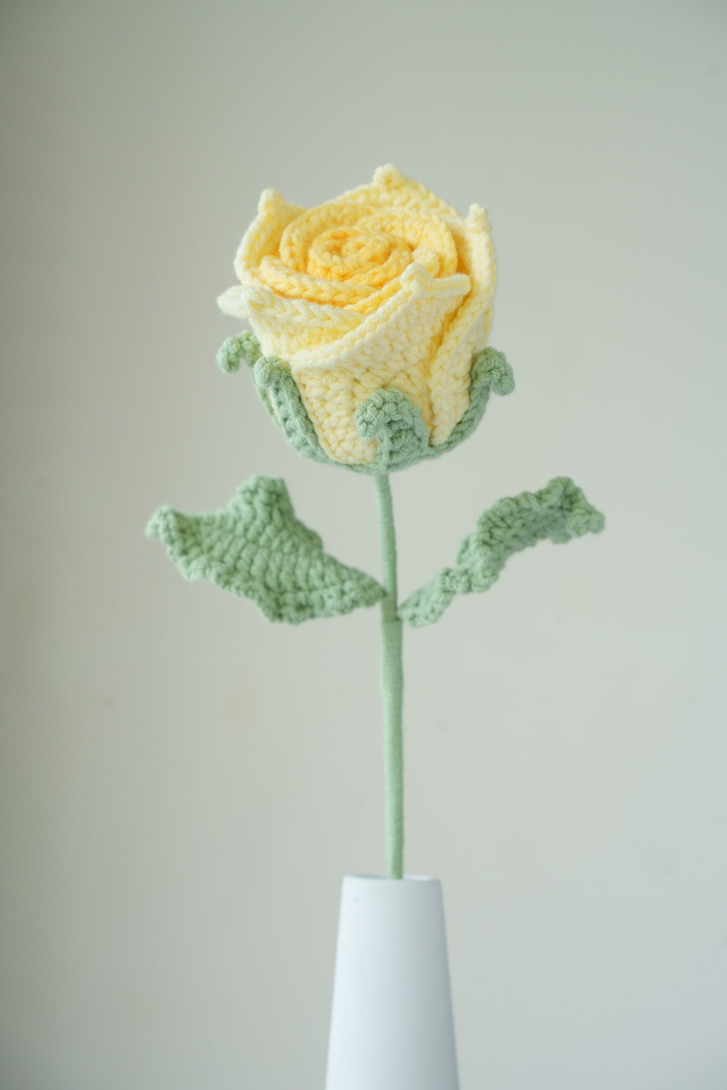 yellow gradient thai rose