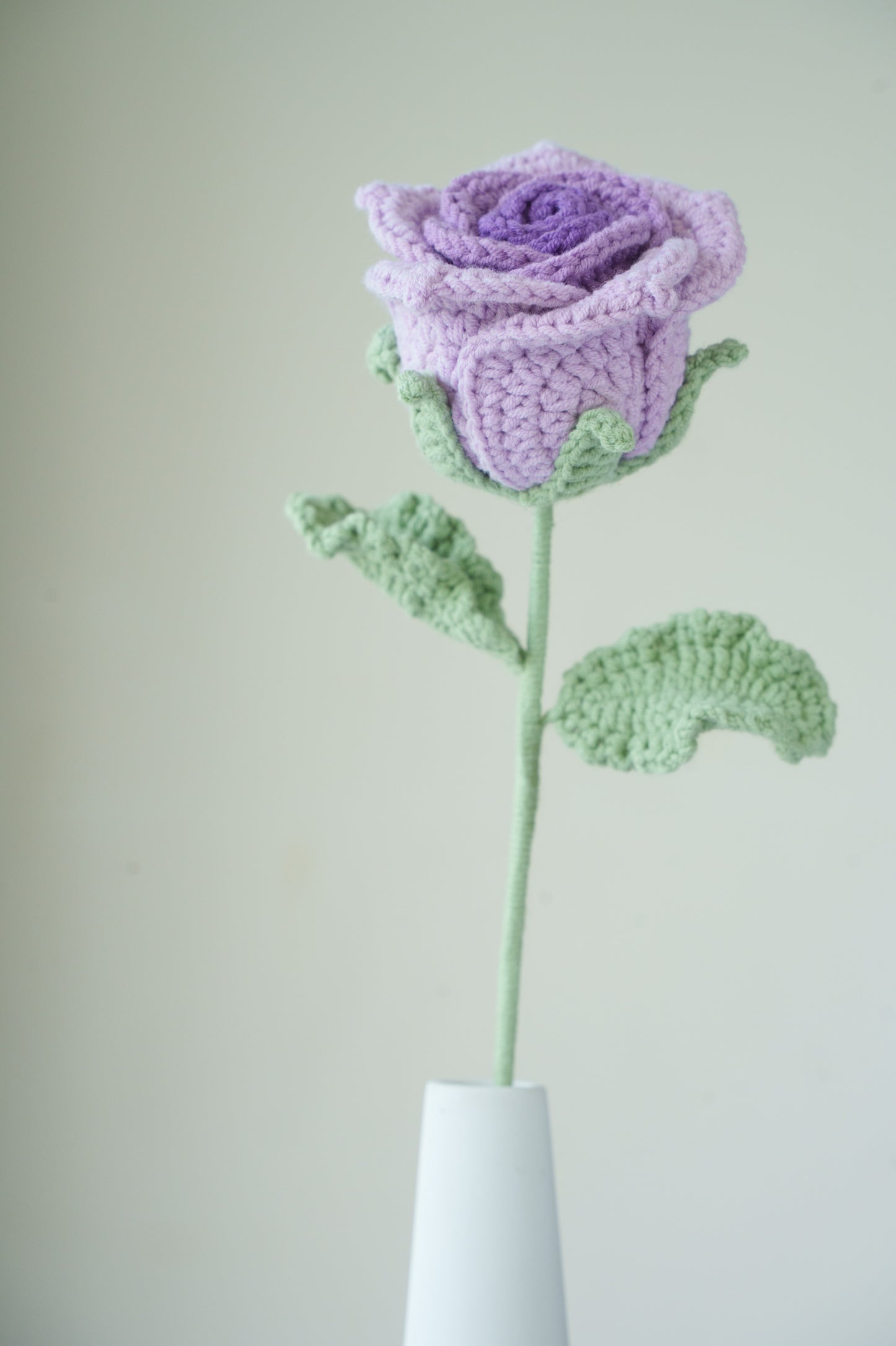 purple gradient thai rose