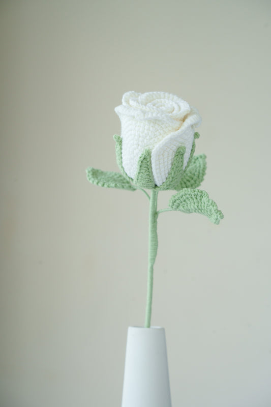 white rose