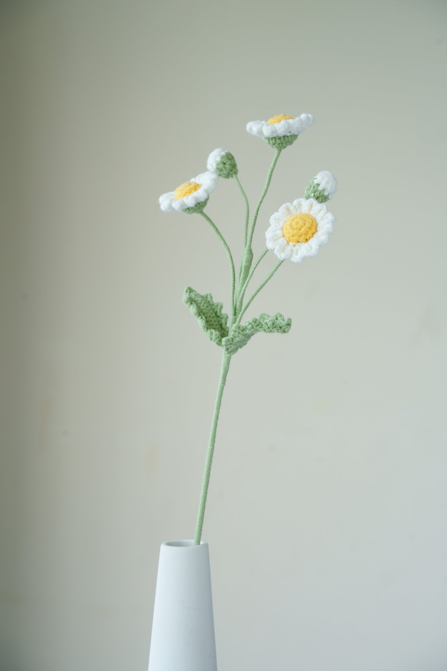 yellow daisy