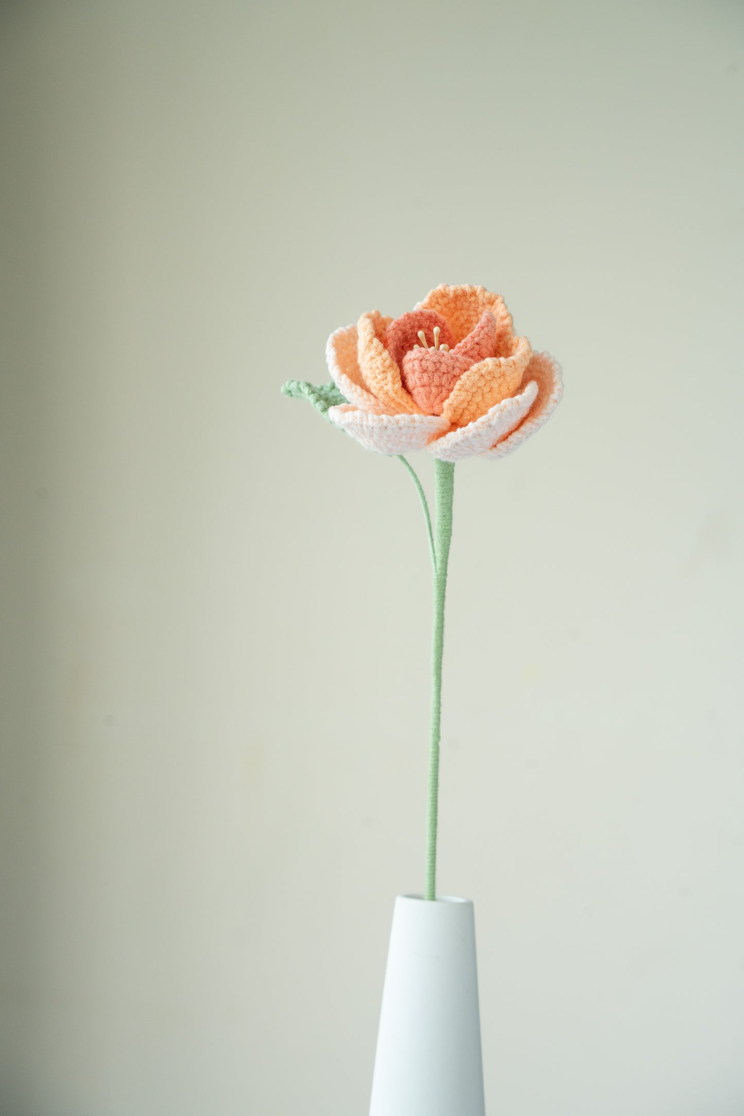 Orange French Rose
