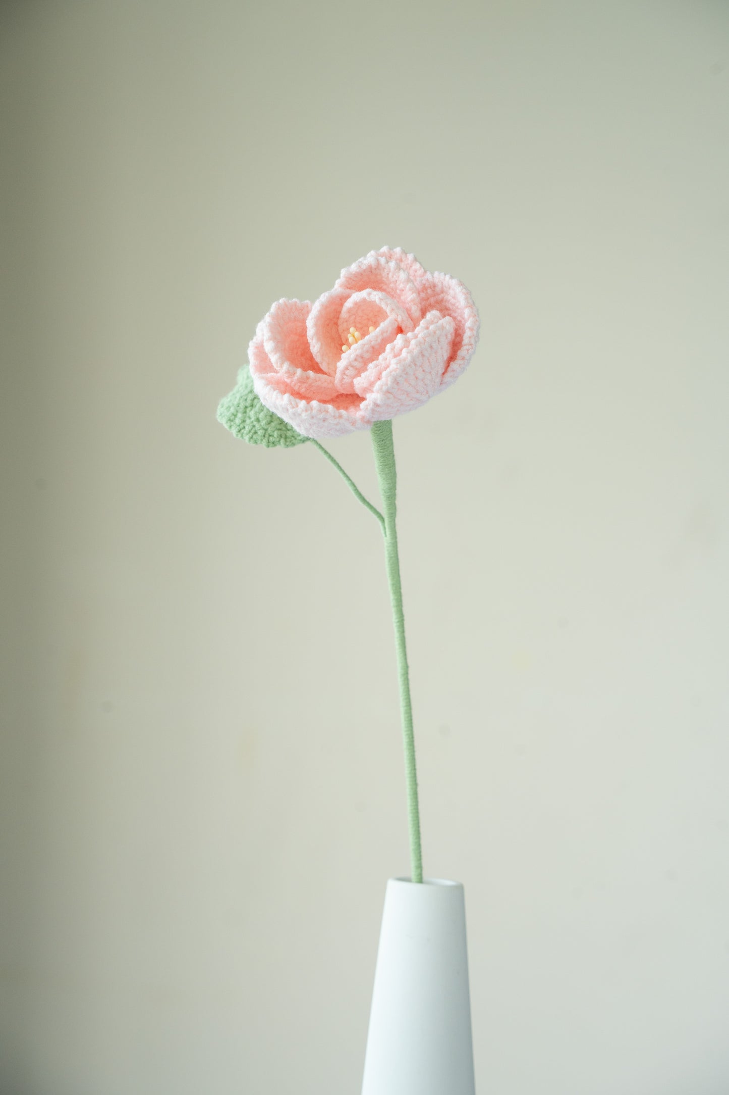 Pink French Rose