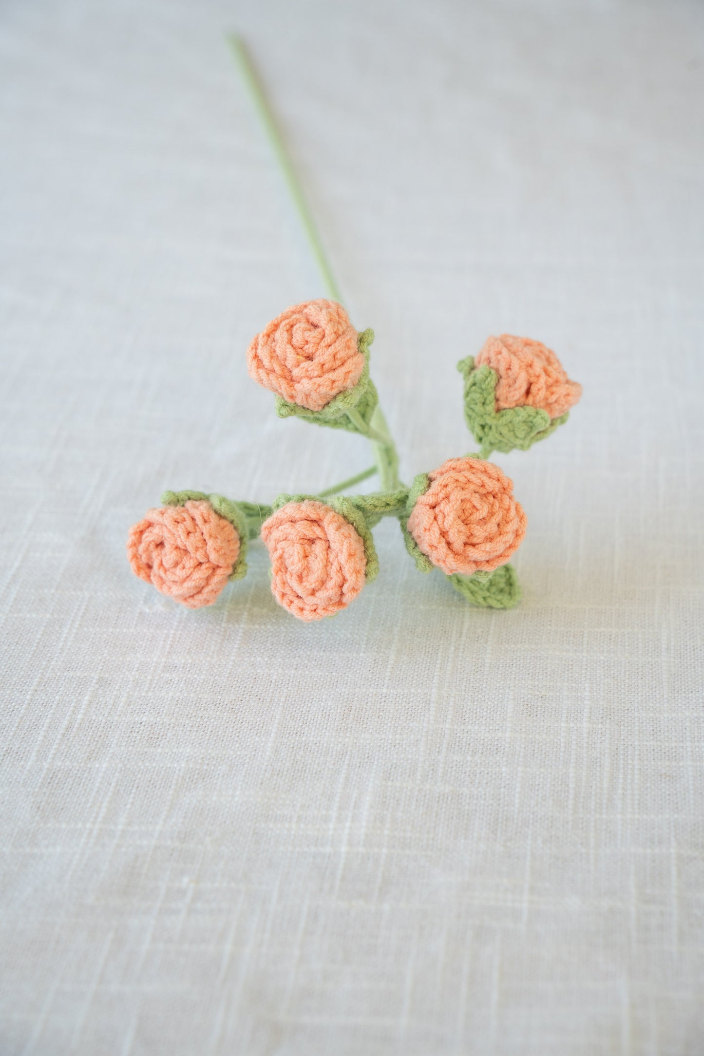 Peach Pink Spray Rose
