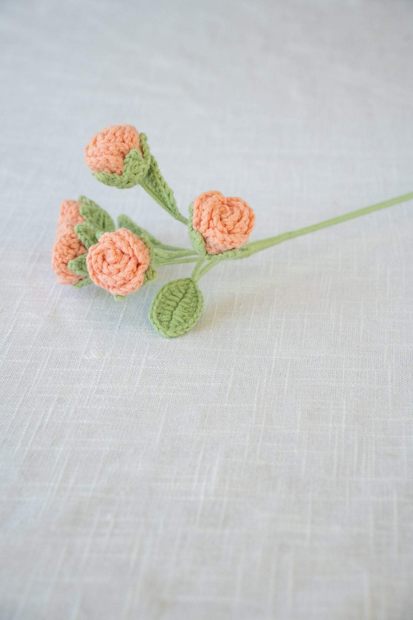 Peach Pink Spray Rose
