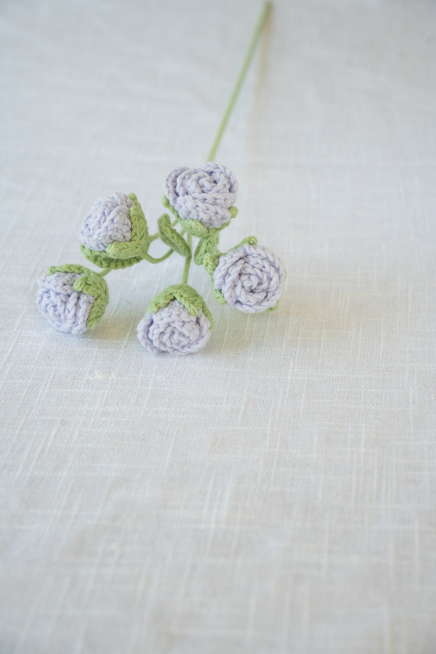 Purple Spray Rose