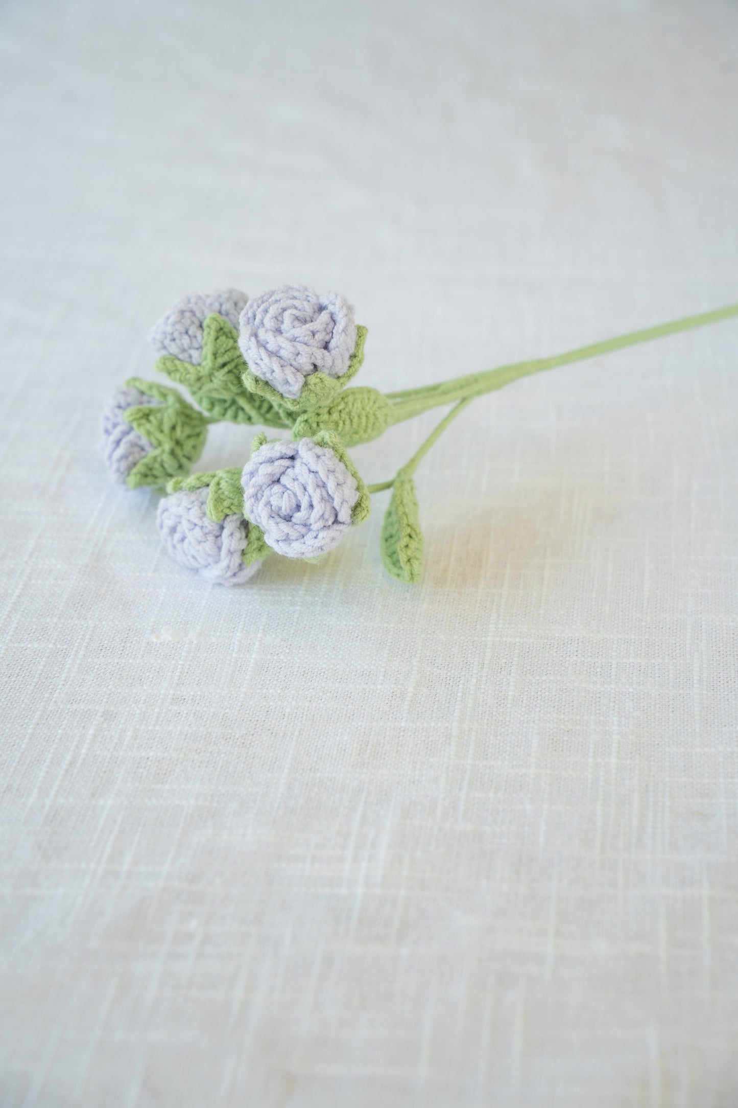 Purple Spray Rose