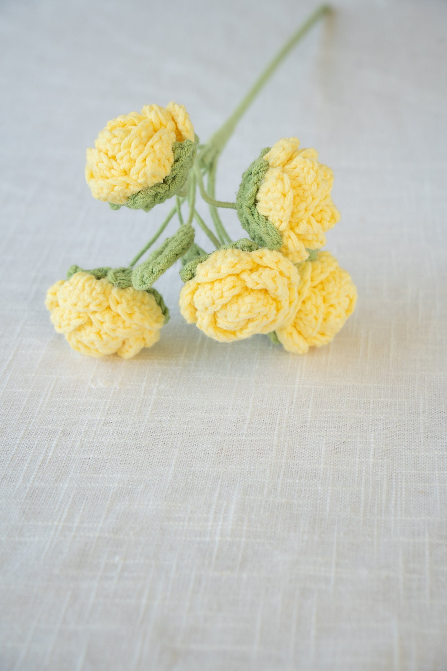 Yellow Spray Rose