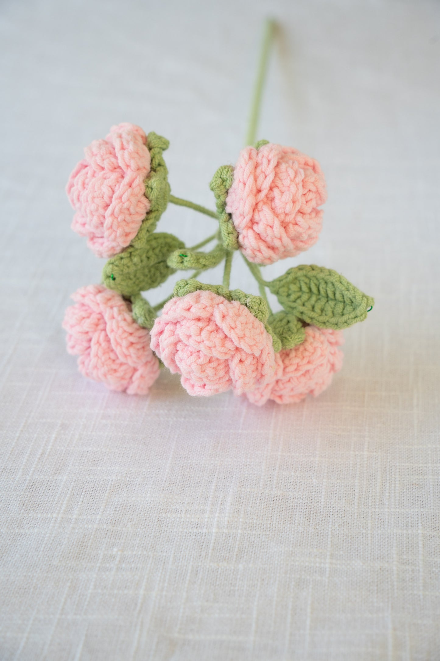 Pink Spray Rose