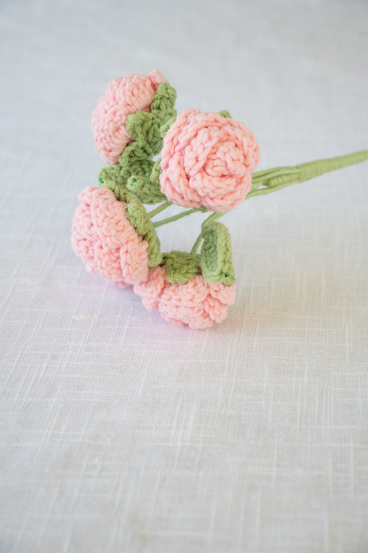 Pink Spray Rose