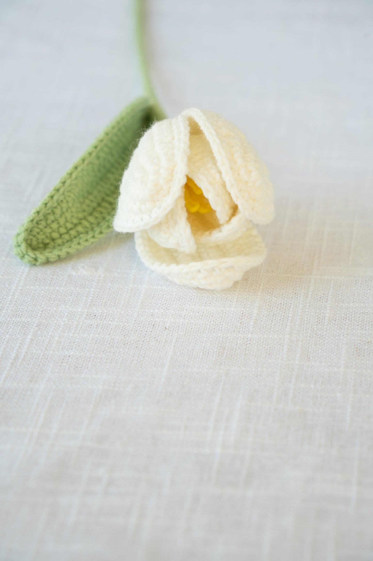 White Tulip