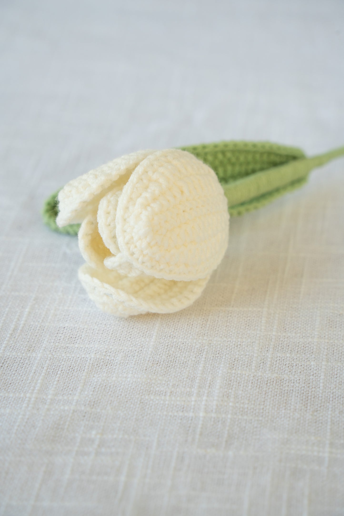 White Tulip