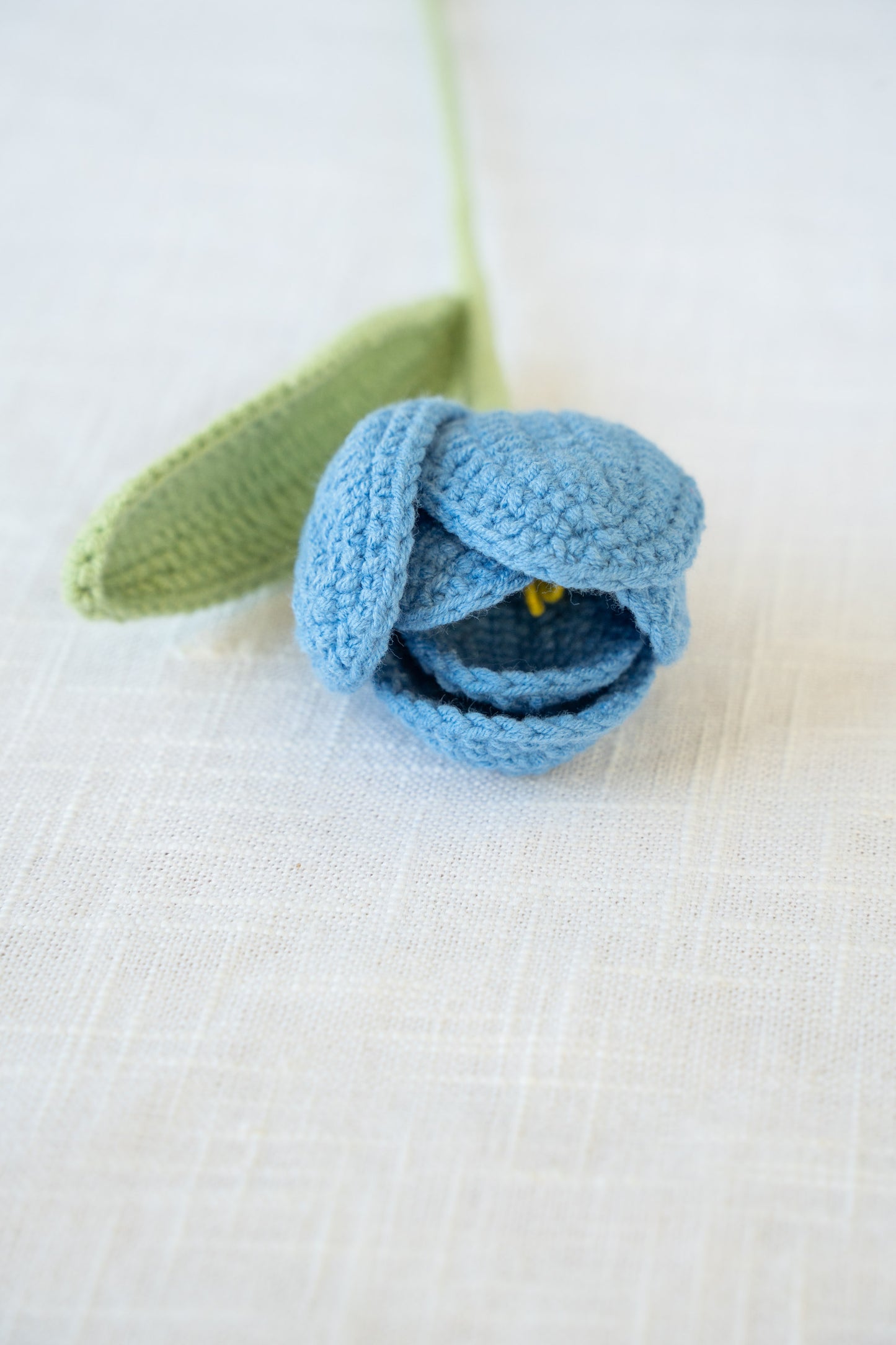 Dark Blue Tulip