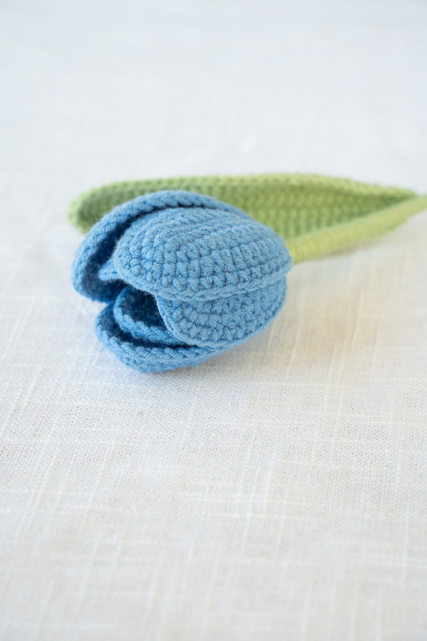 Dark Blue Tulip