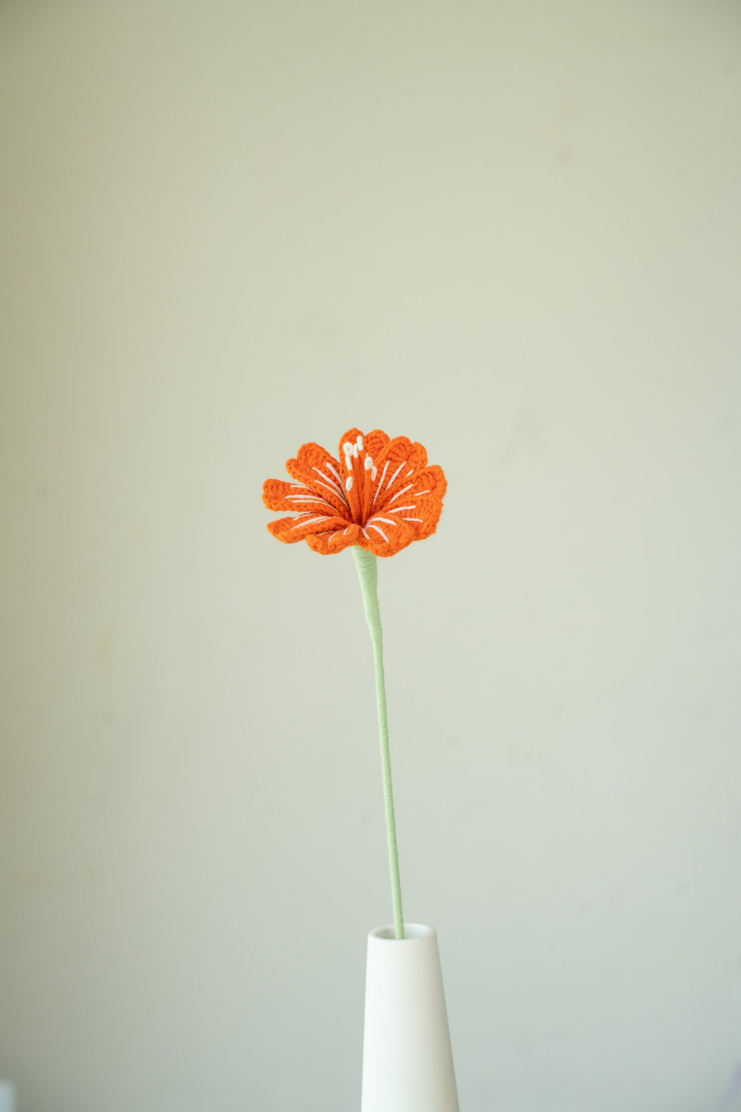 Dark Orange Lewisia