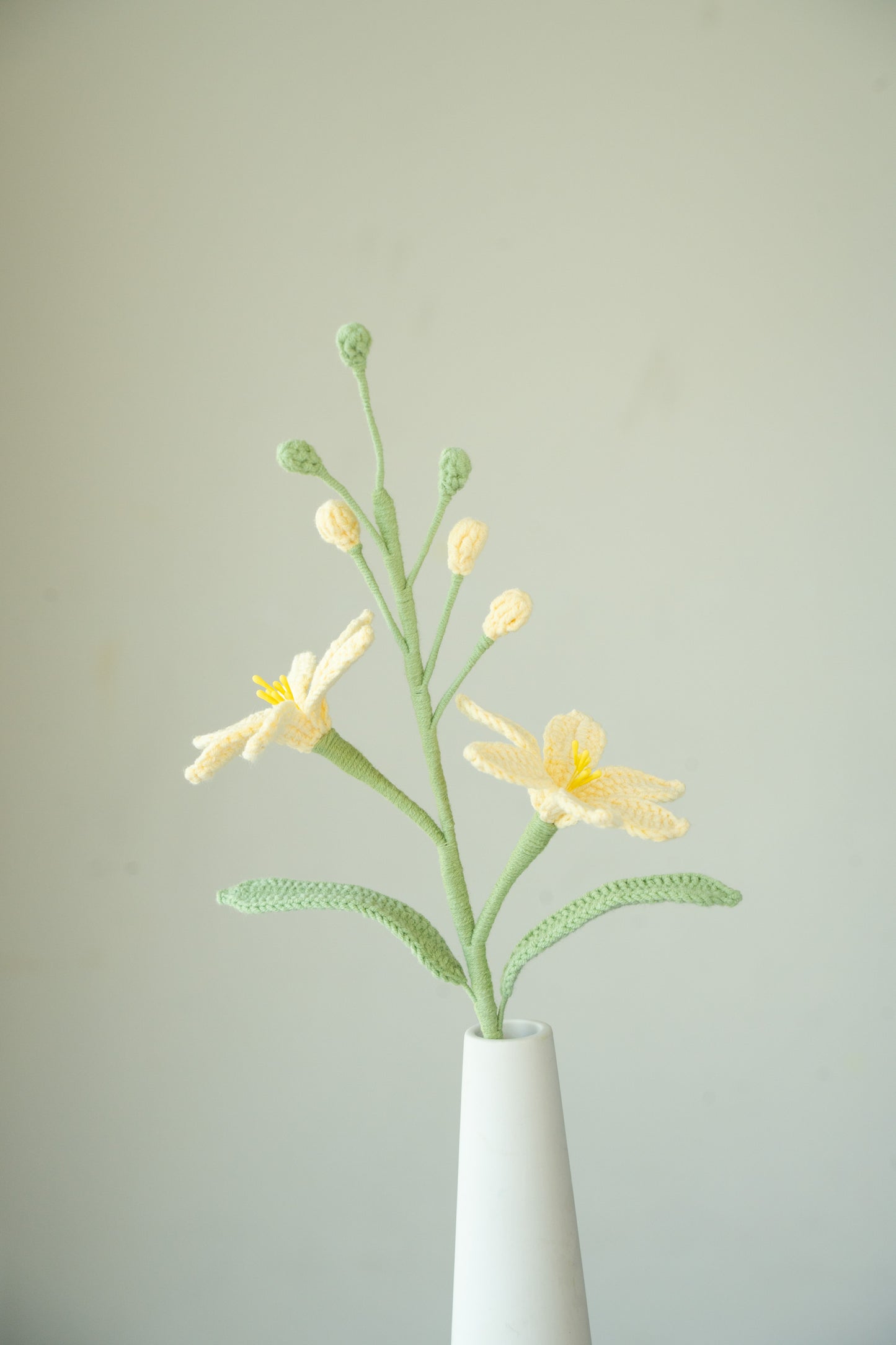 Yellow Crocosmia Lucifer