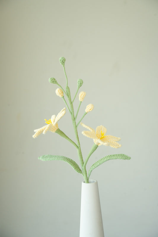 Yellow Crocosmia Lucifer