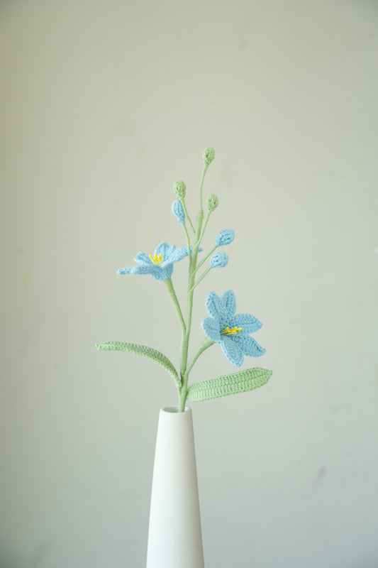 Blue Crocosmia Lucifer