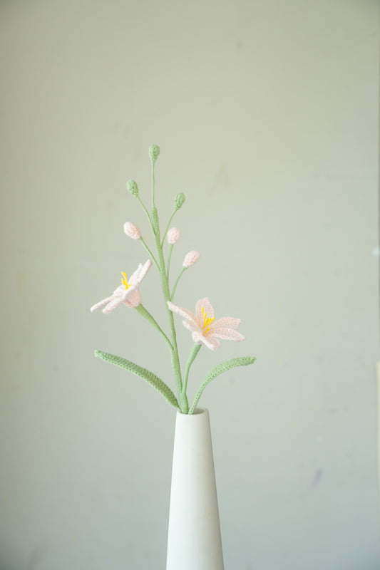 Pink Crocosmia Lucifer