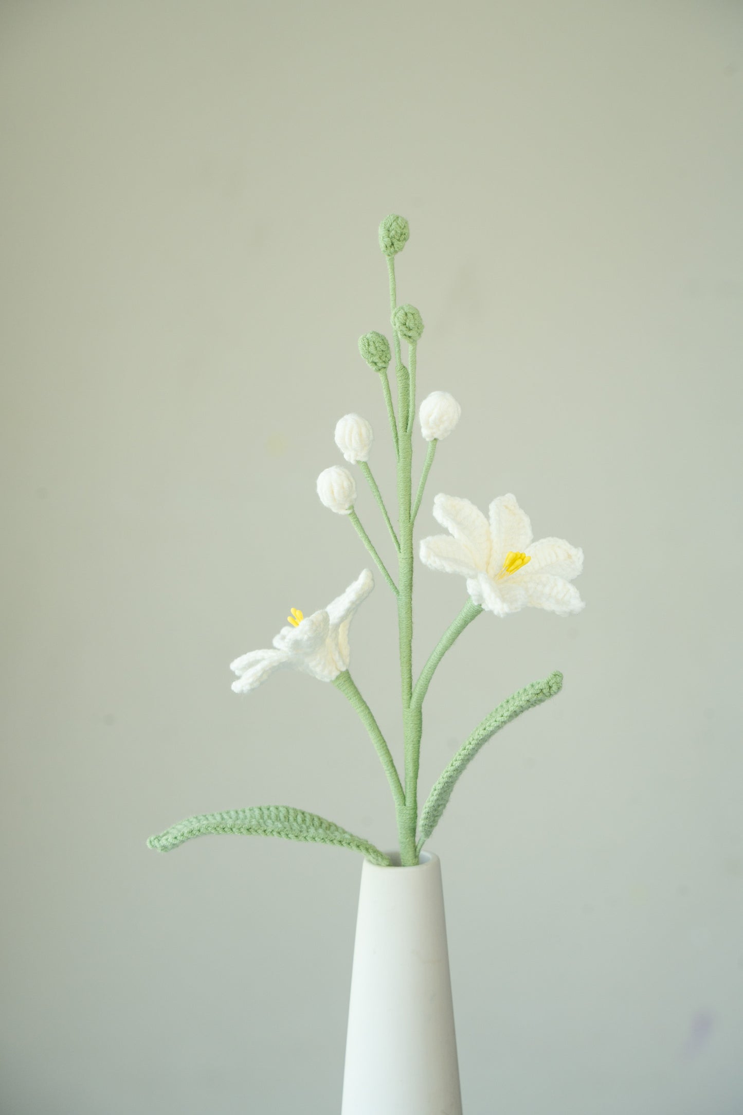 White Crocosmia Lucifer