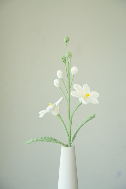 White Crocosmia Lucifer