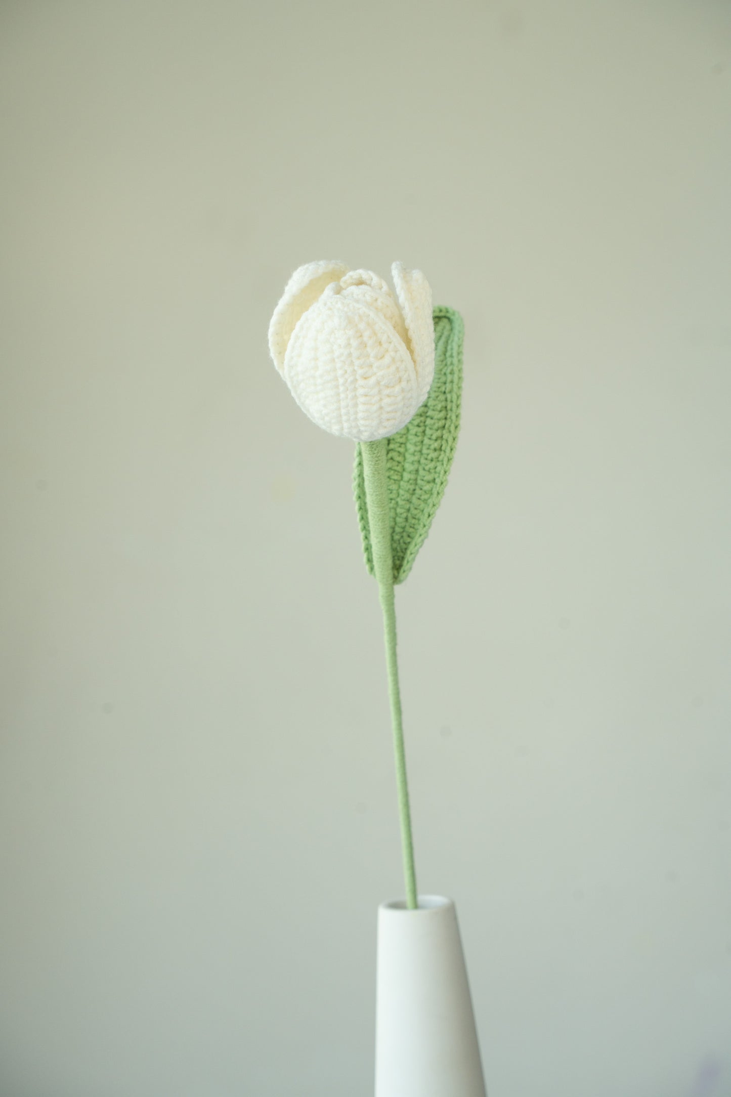 White Tulip