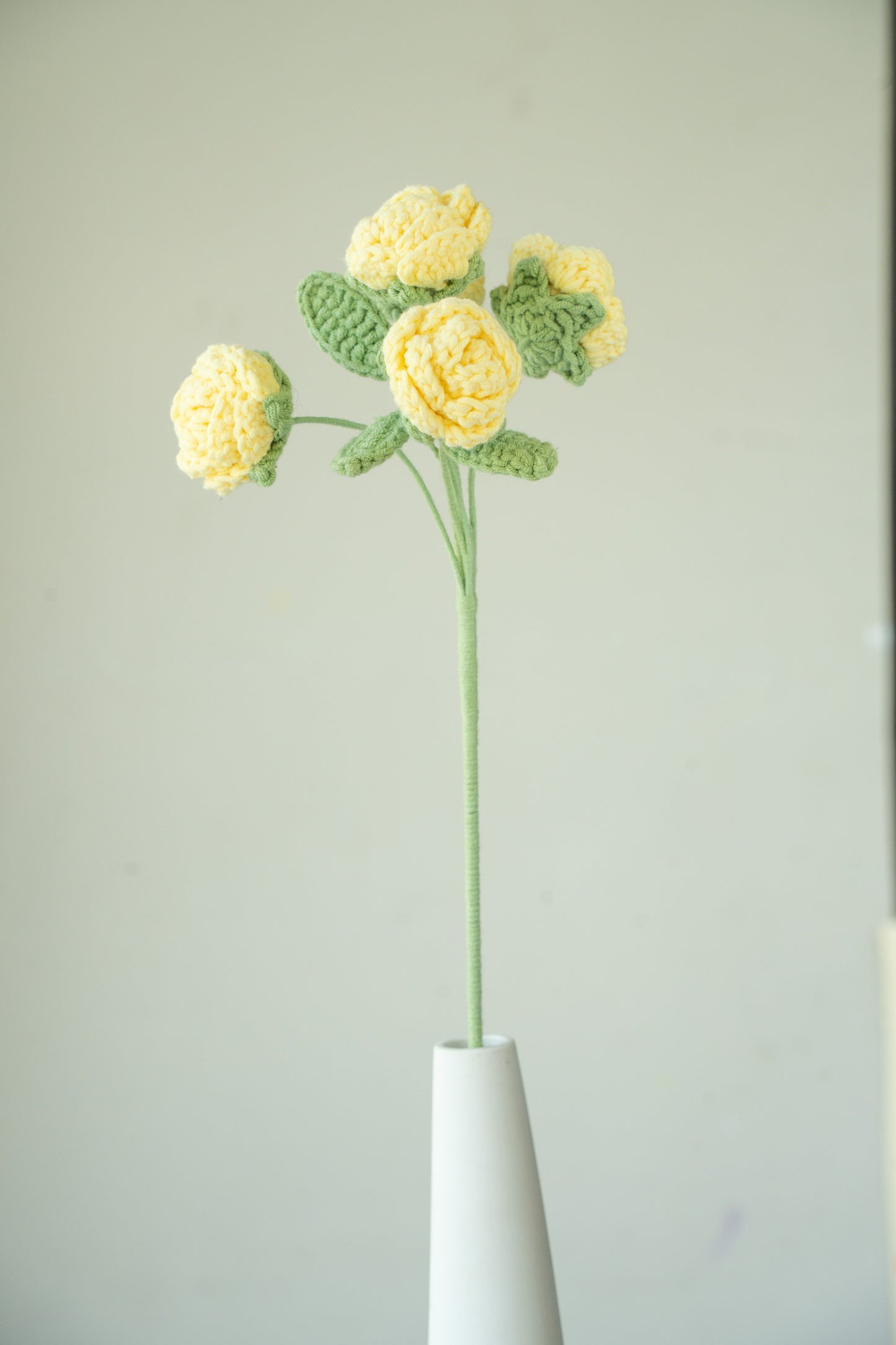 Yellow Spray Rose
