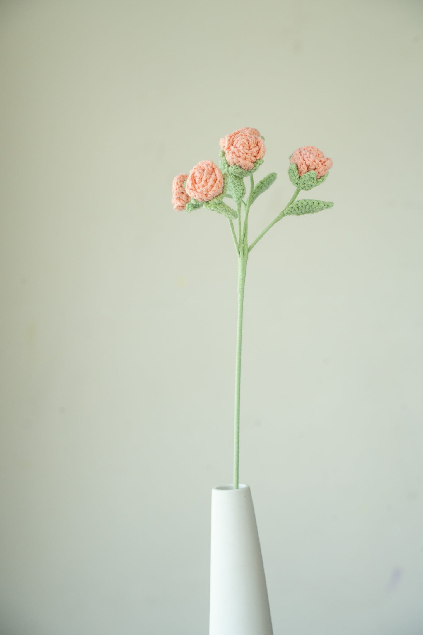Peach Pink Spray Rose