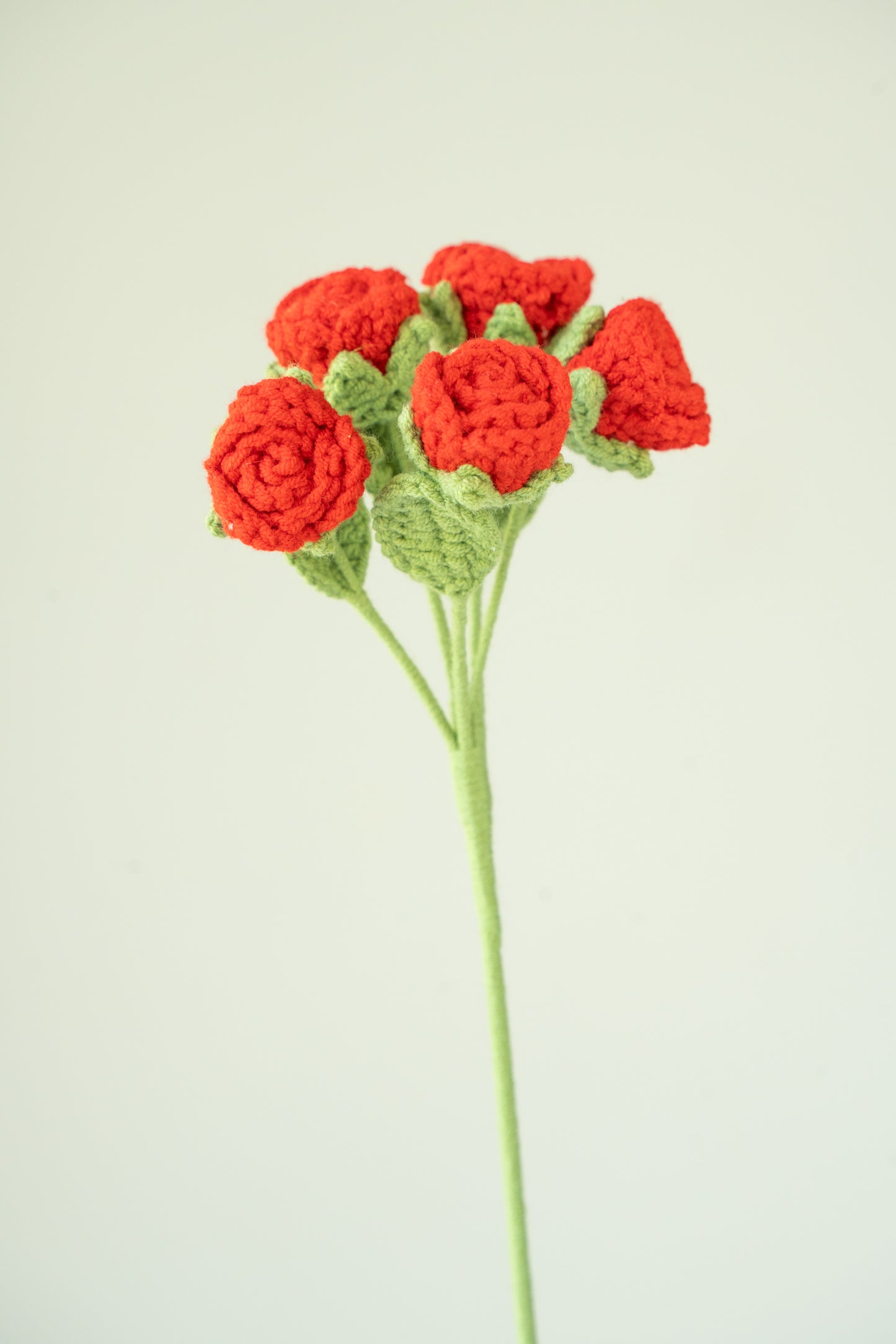 Red Spray Rose