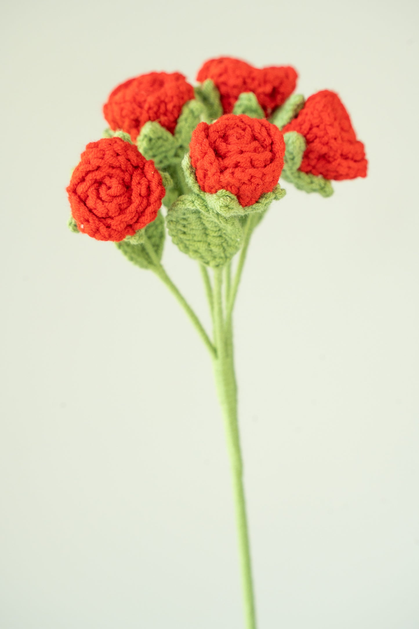 Red Spray Rose