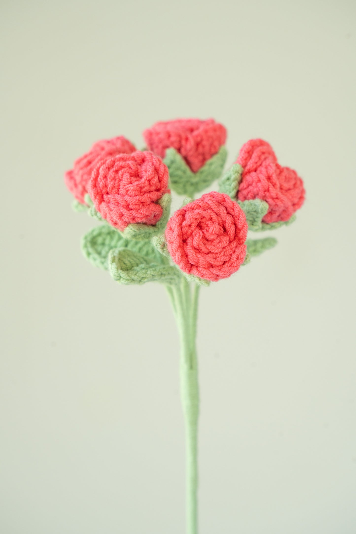 Hot Pink Spray Rose