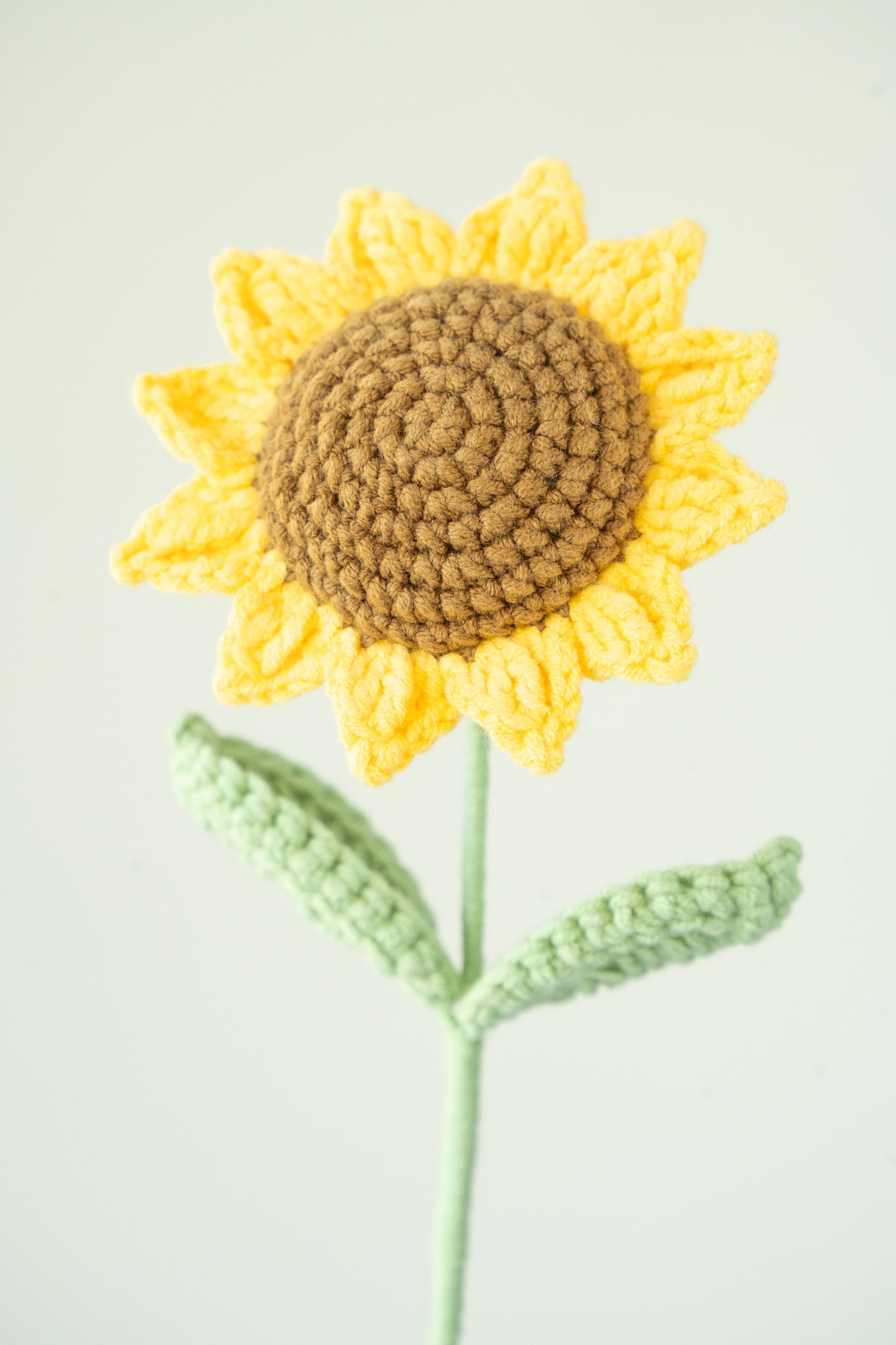 Small Sunflower