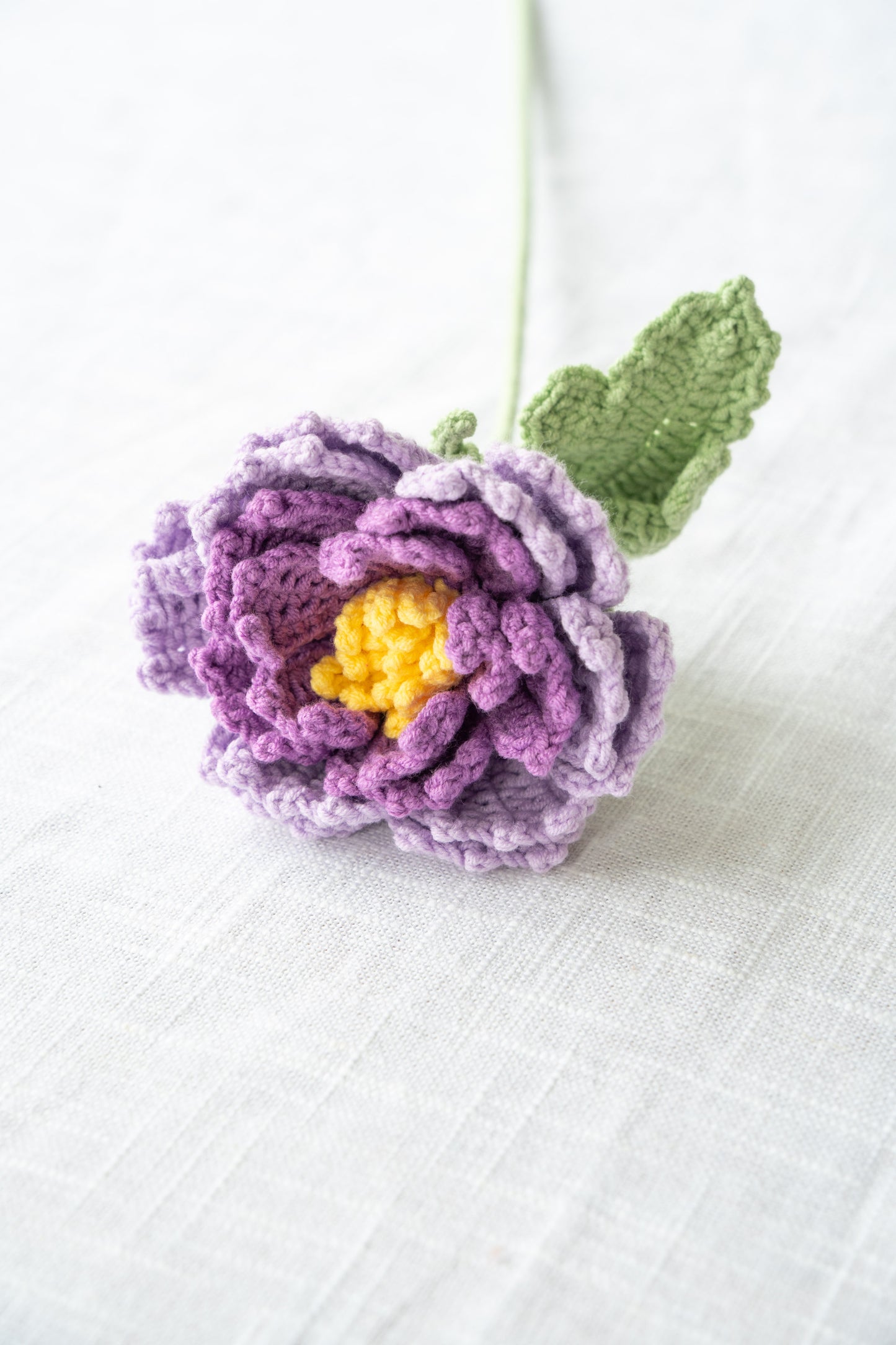 Purple Peony