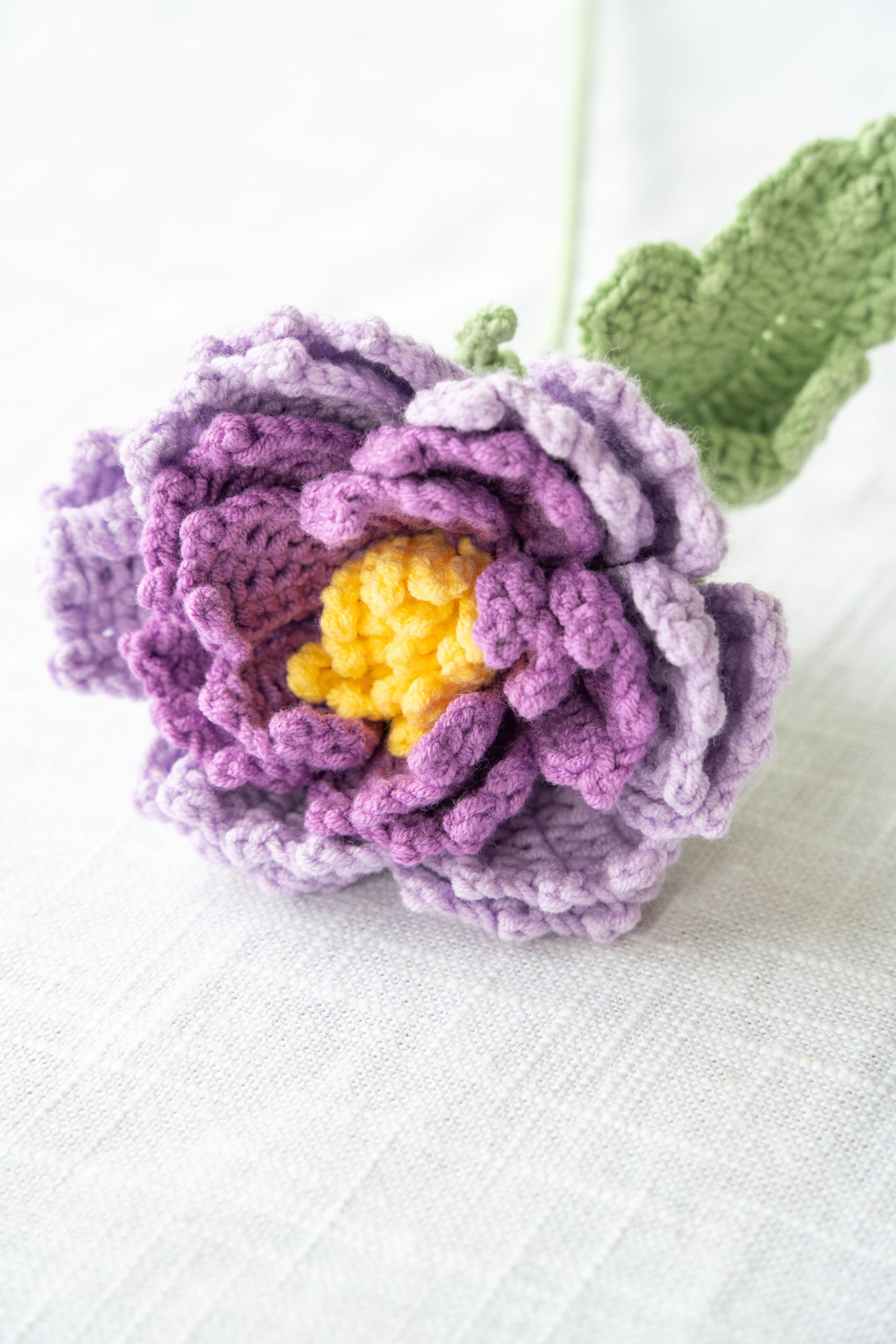 Purple Peony