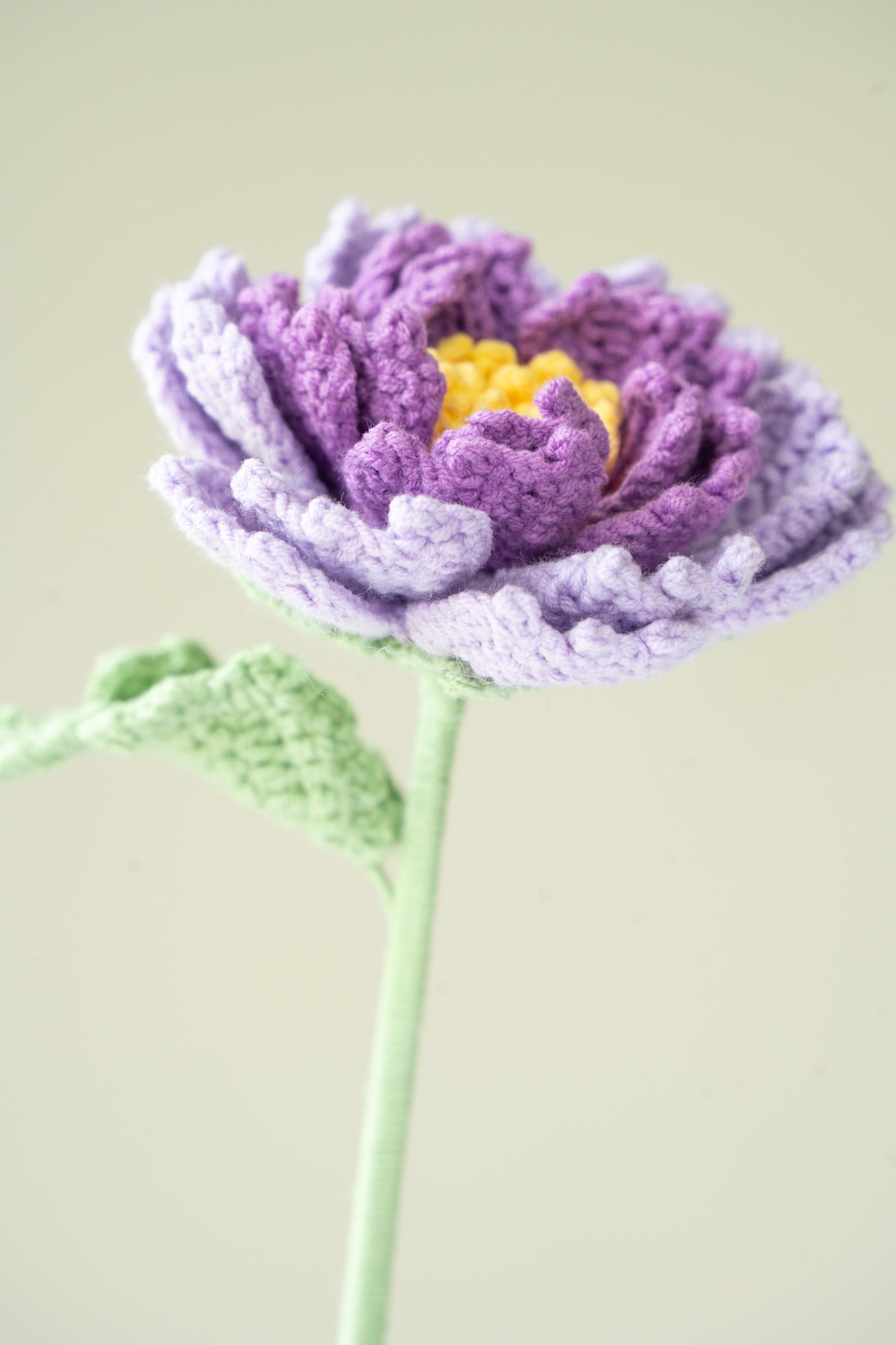 Purple Peony