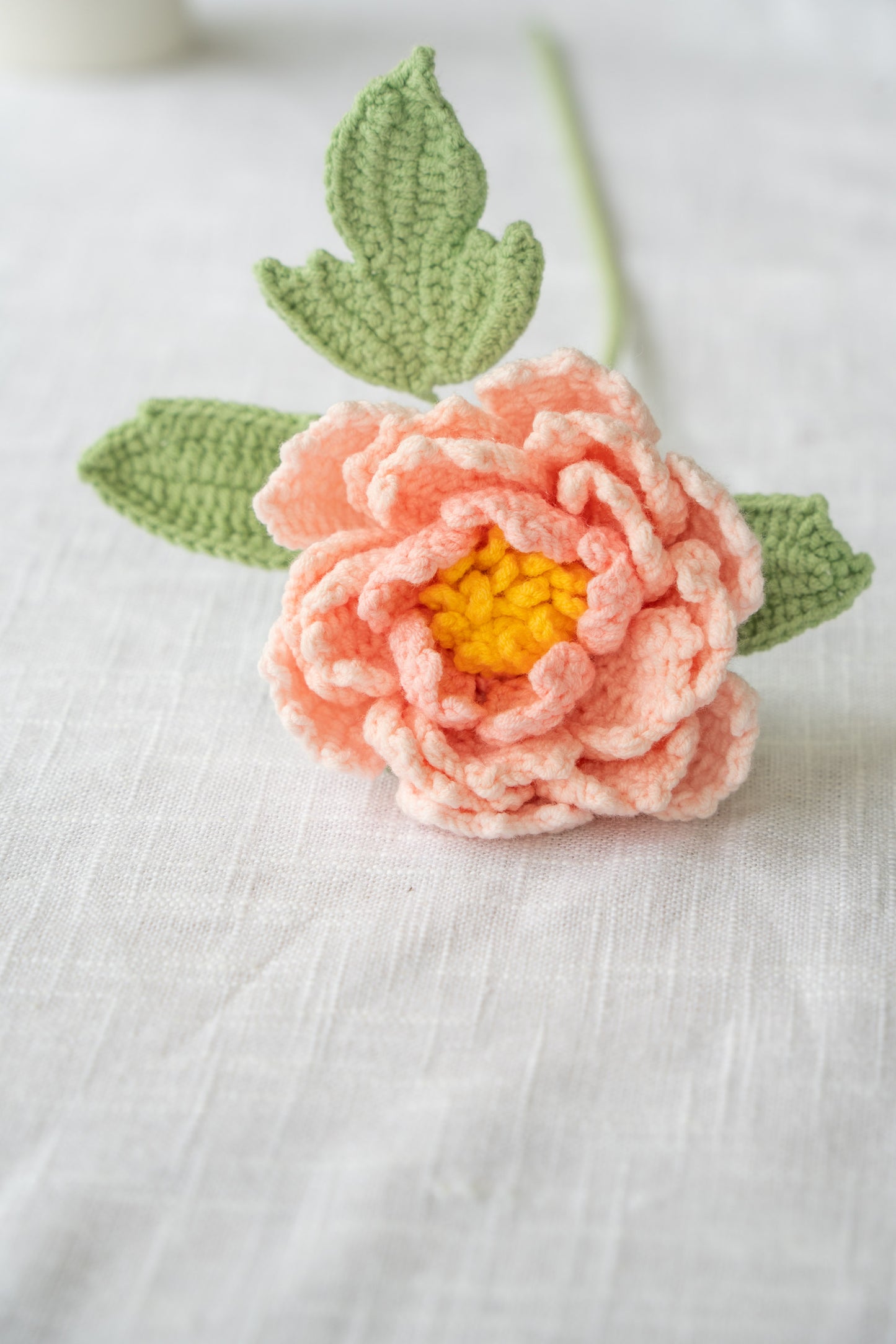 Light Pink Peony
