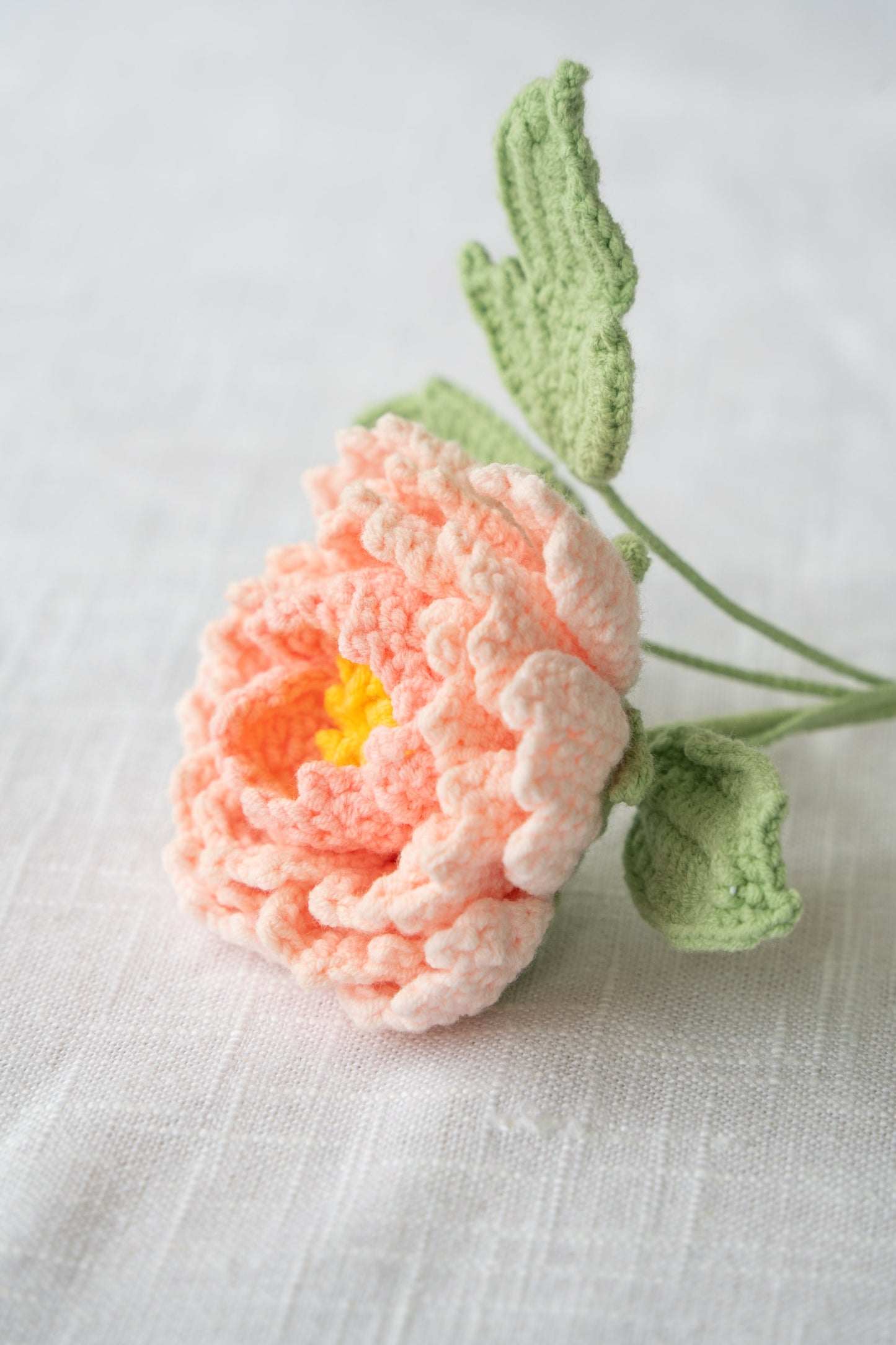 Light Pink Peony