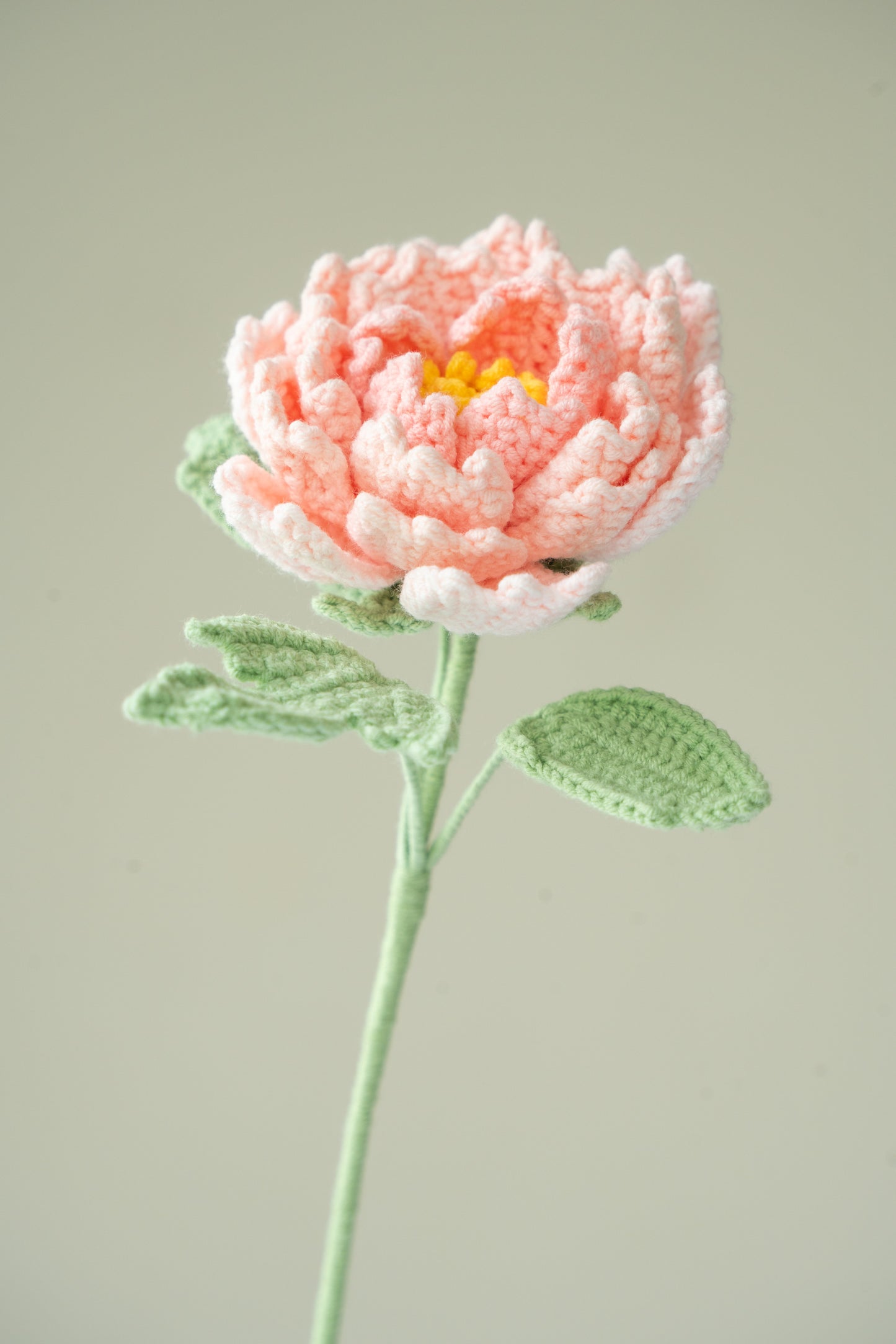Light Pink Peony