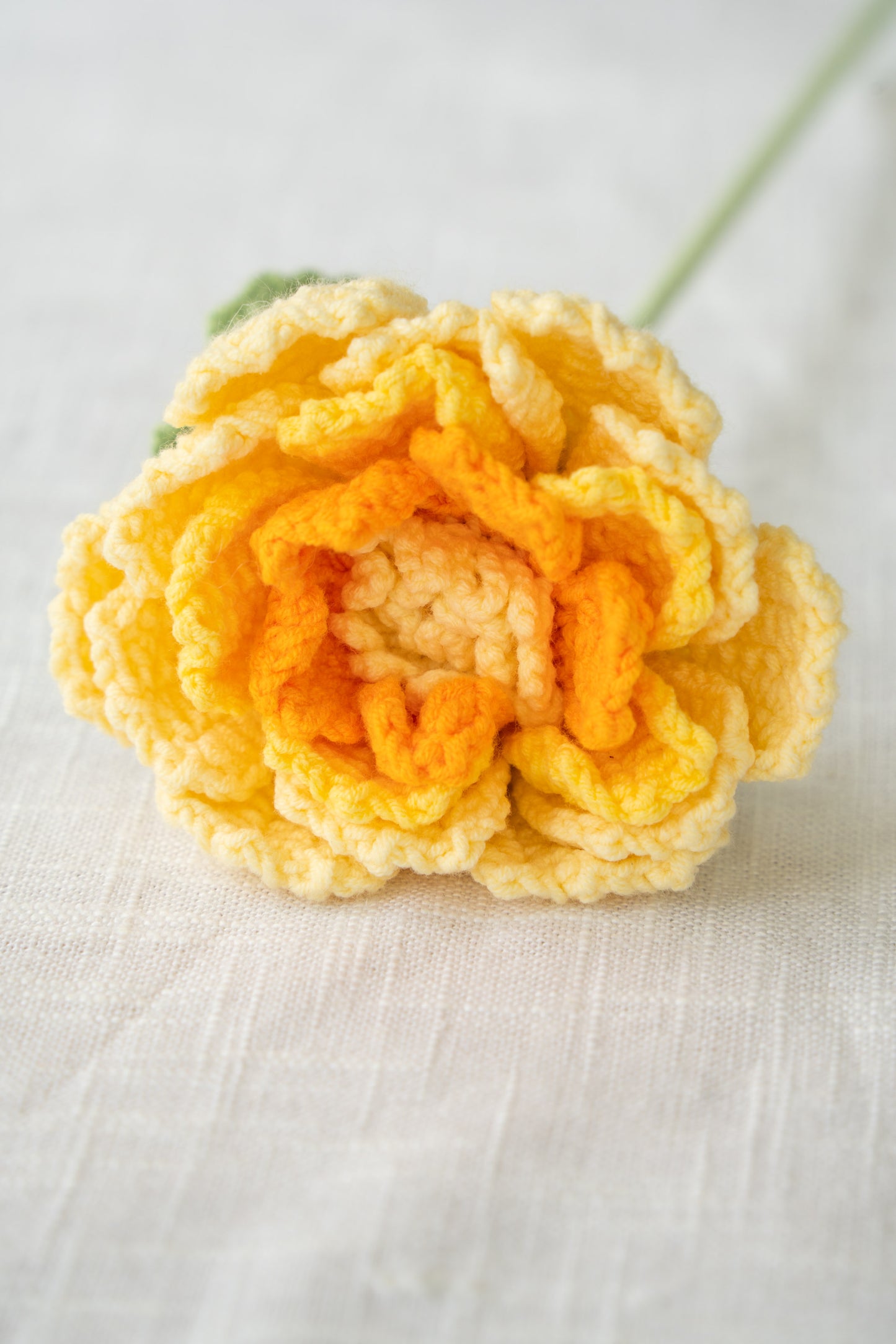 Yellow Peony