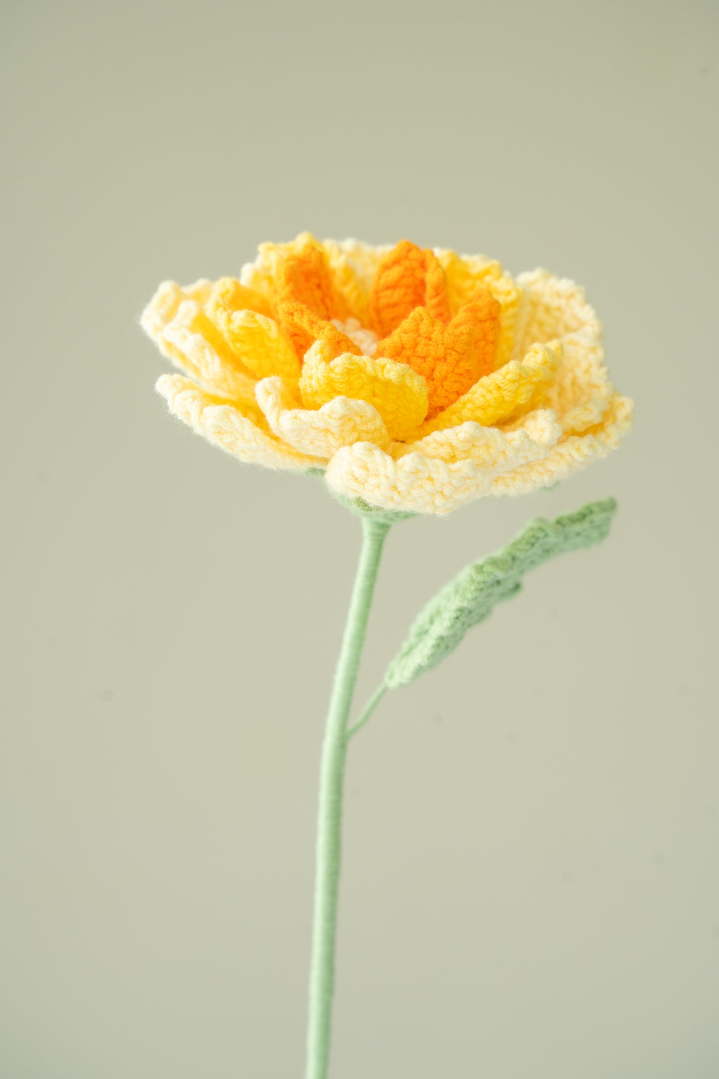 Yellow Peony
