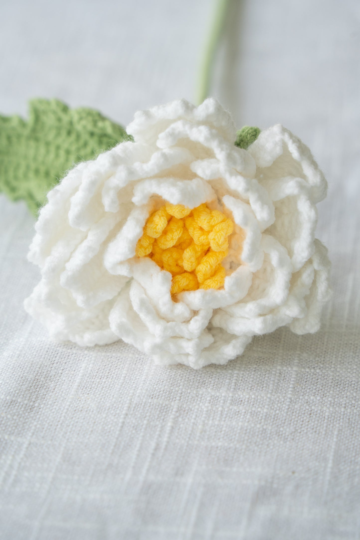 White Peony