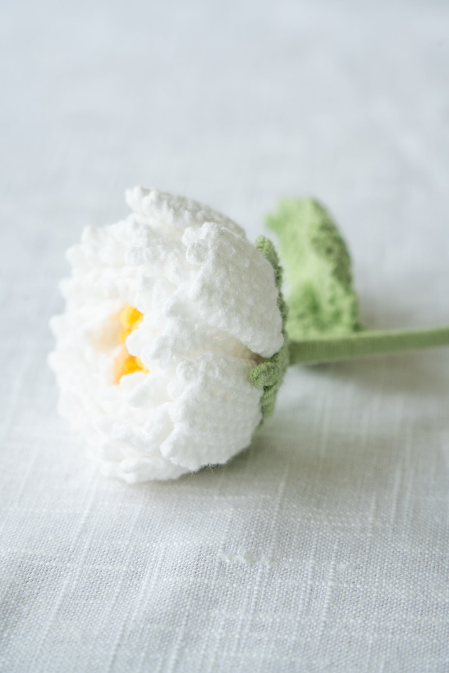 White Peony