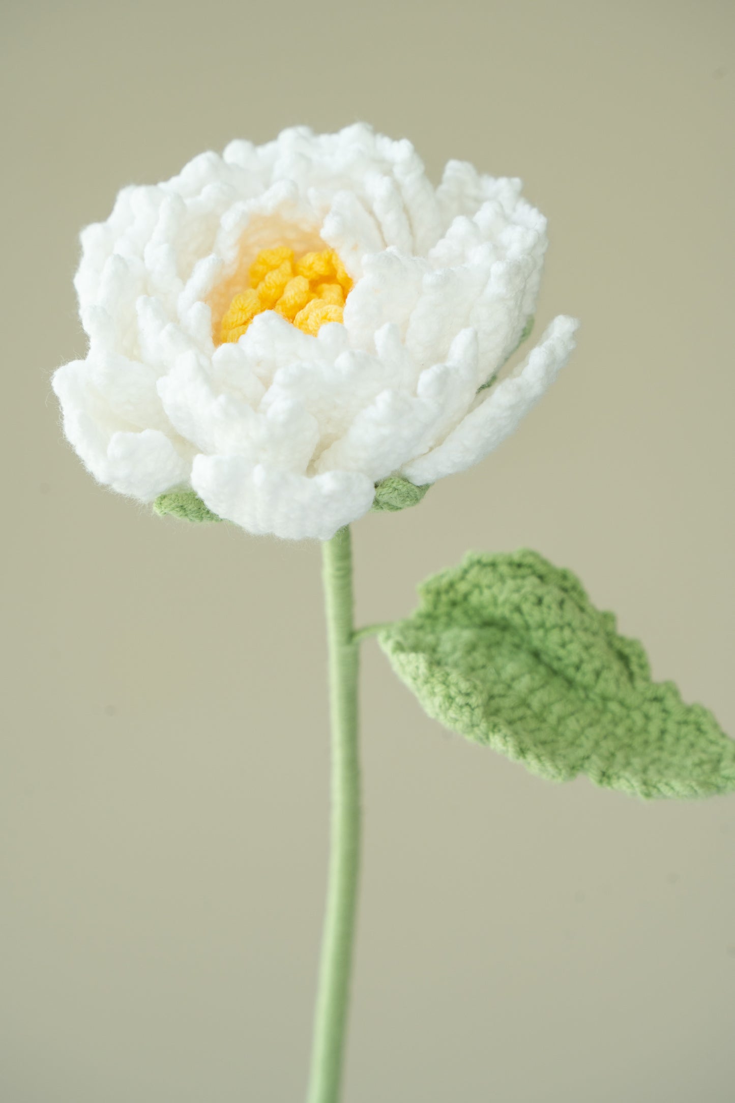 White Peony