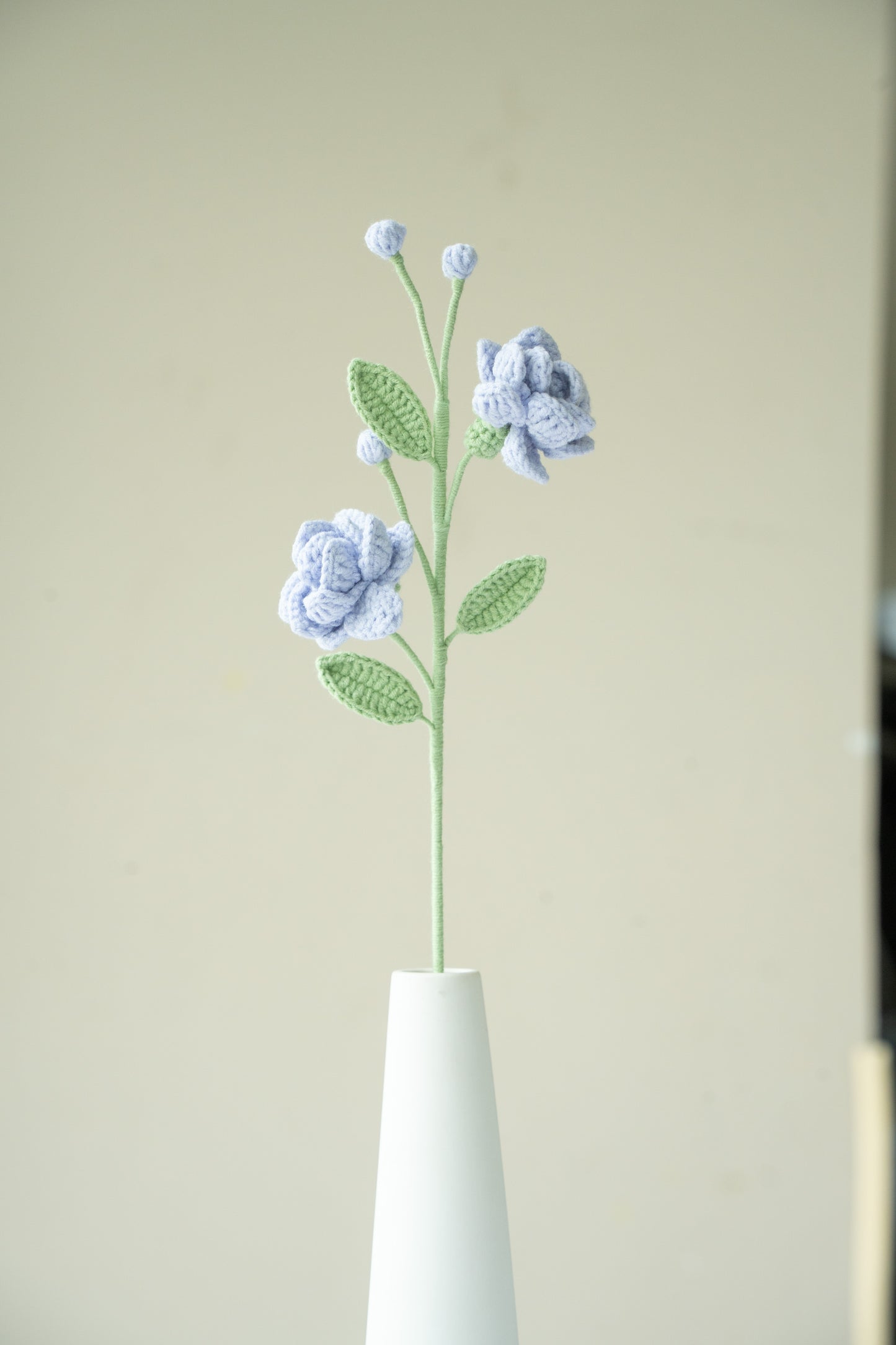 Purple Jasmine