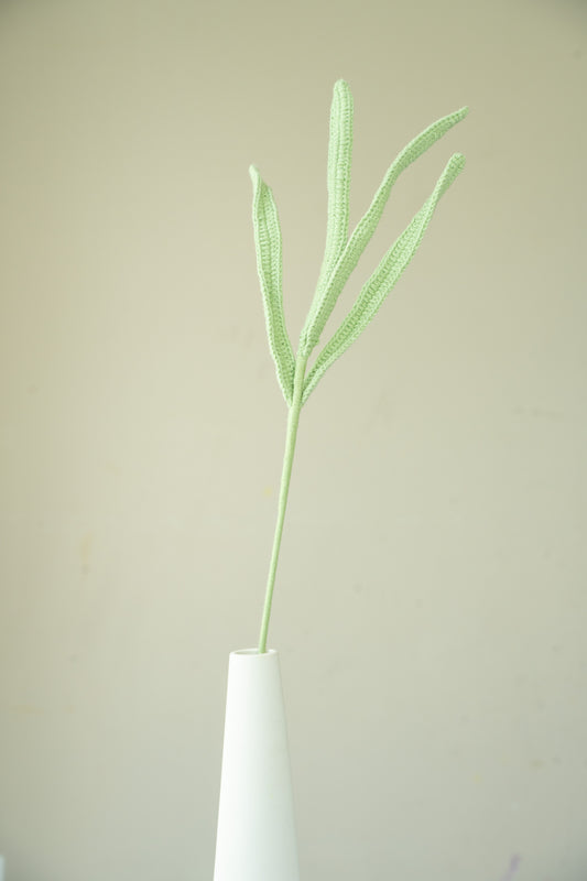 Longbracted Cymbidium