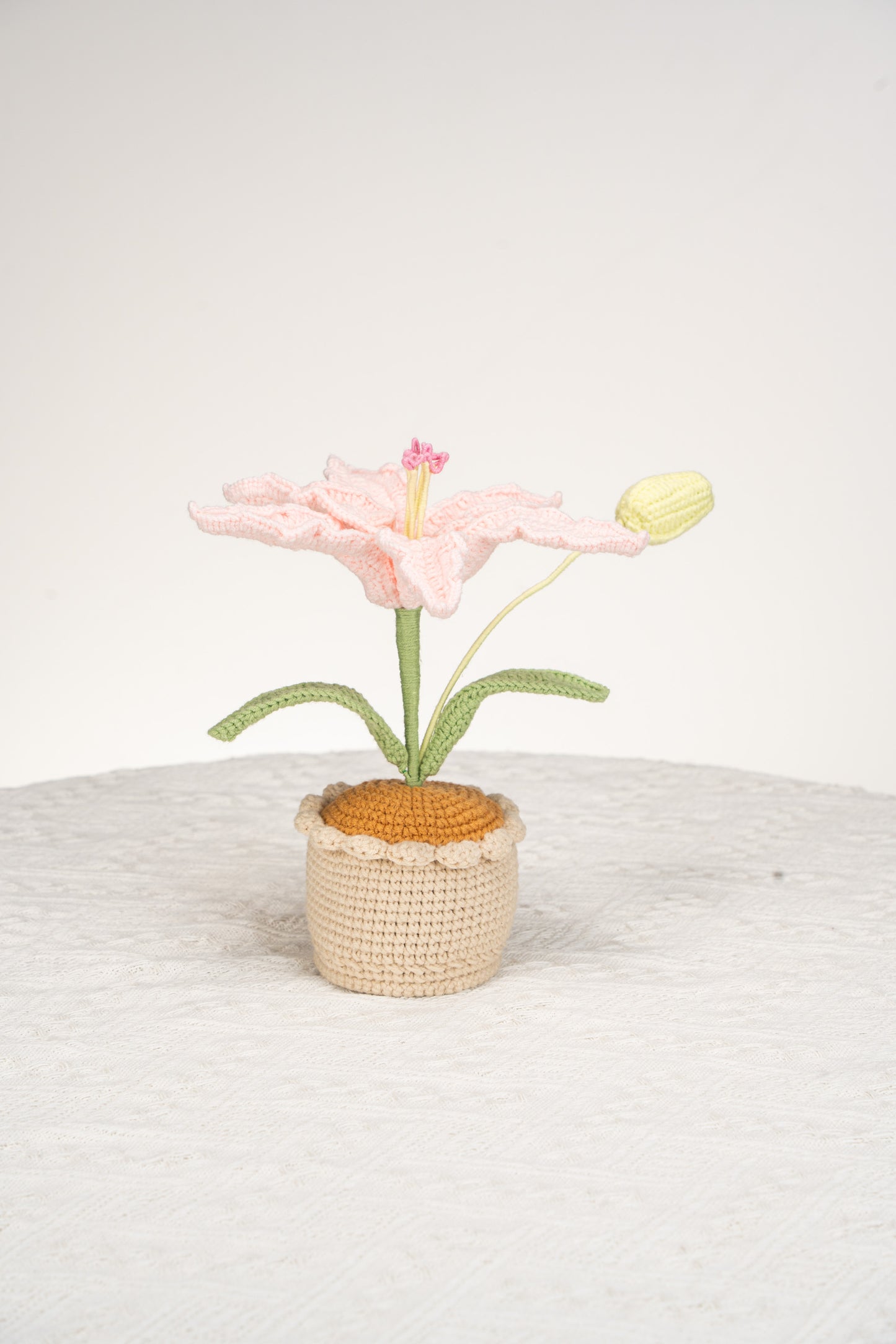 pink lily