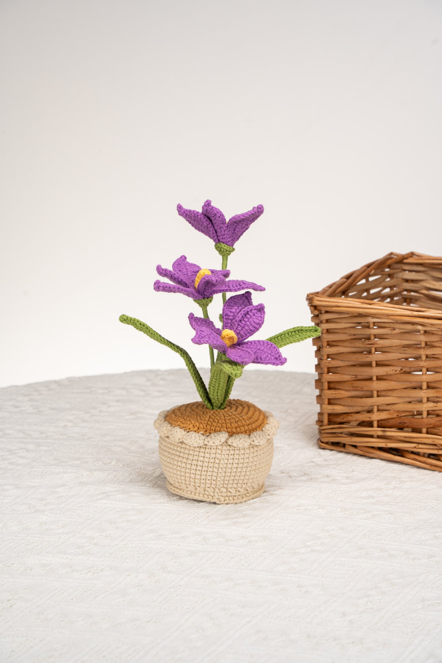 purple orchid